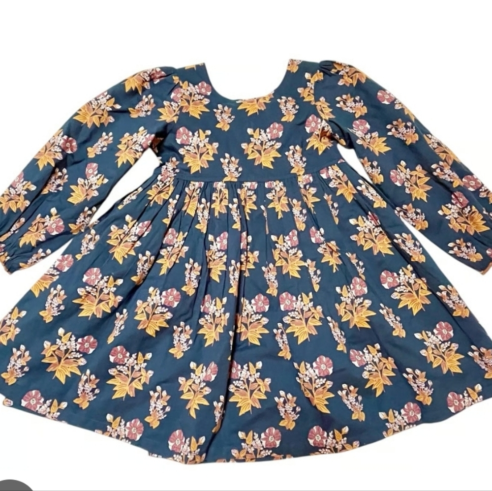 Pink Chicken Blue Floral Casual Dress